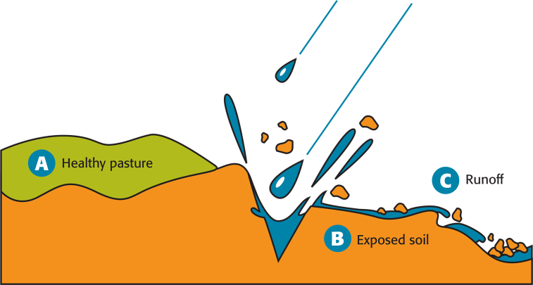 Illustration of Raindrop Impact Erosion